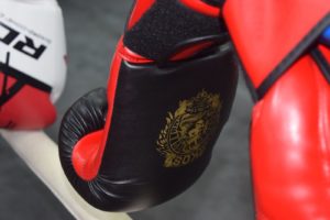 Pair of red and black boxing gloves
