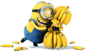 A minion hugging a whole stalk of bananas.
